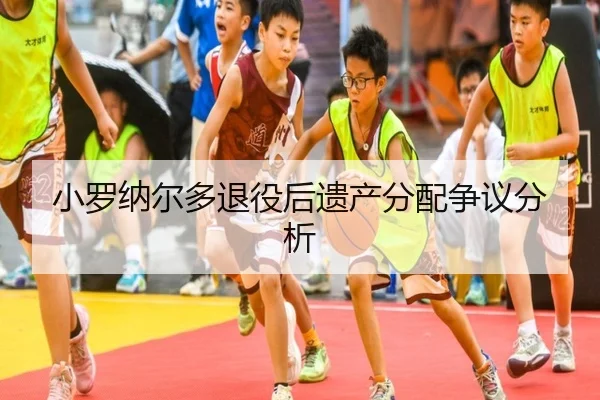 小罗纳尔多退役后遗产分配争议分析